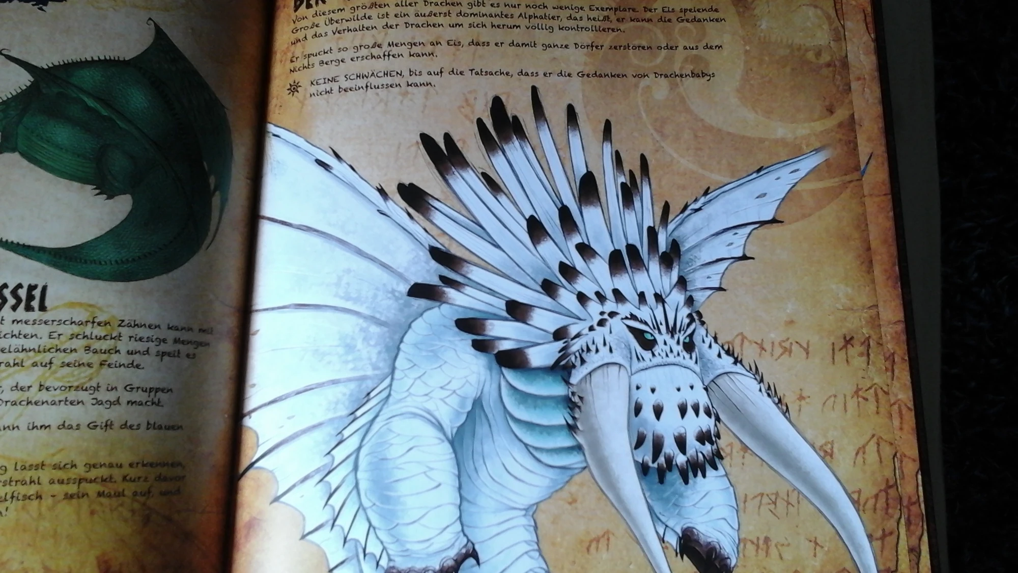 Datei1436607579687795228748.jpg Drachenzähmen leicht gemacht Wiki Fandom powered by Wikia