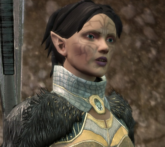 dragon age begleiter dragon age begleiter