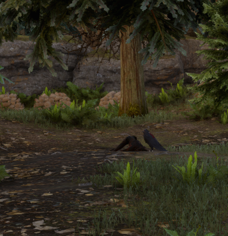 Dragon age inquisition flirten