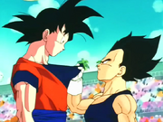 Goku e Vegeta.png