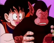 Gokuchasebubbles00