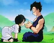 Gohan teaching Videl