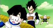 Vegeta guarda il combattimento