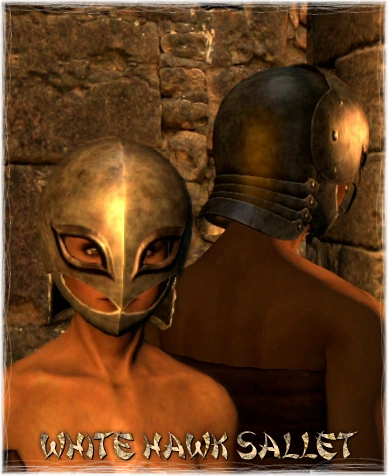 Image - Armour Head White Hawk Sallet.png | Dragon's Dogma Wiki