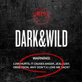 BTS DARK & WILD 2