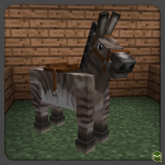 Zonkey