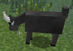 Male Goat