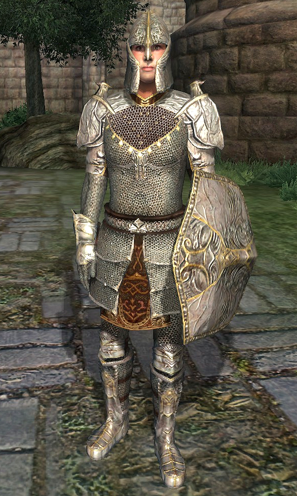 oblivion heavy or light armor