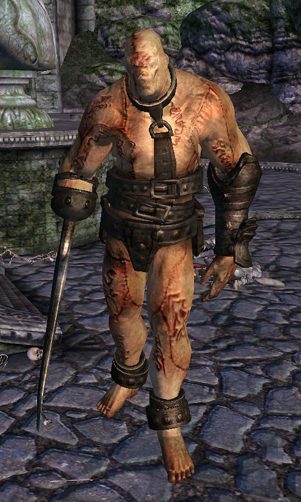 the elder scrolls oblivion dlc list the elder scrolls oblivion dlc list