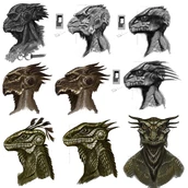 Argonian Faces