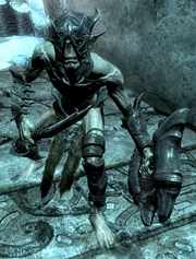Falmer Gloomlurker