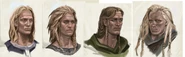 Nord Male Hair