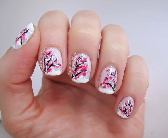 File:Five-finger-cherry-blossoms-2.jpg