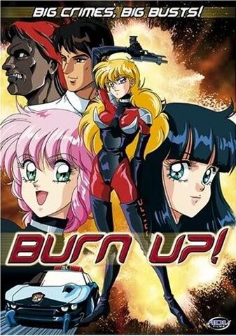 File:Burn-Up.jpg