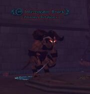 Interrogator Bruek