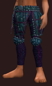 Untamed Wanderer's Leather Pants (Equipped)