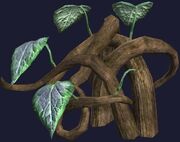 Wild vine (Visible)