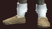 Adept's Shoes of Knowledge (Equipped)