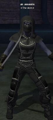 An assassin