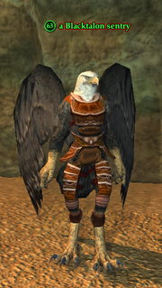 A Blacktalon sentry