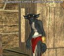 A Gigglegibber Goblin Gamblin' Game Vendor (Antonica)