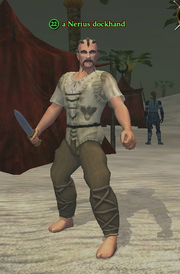 A Nerius dockhand