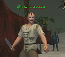 A Nerius dockhand