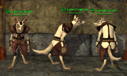 Gnoll (Paladin) Placed