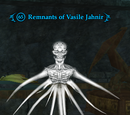 Remnants of Vasile Jahnir