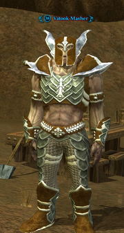 Vatook Masher