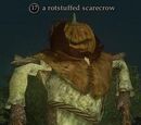 A rotstuffed scarecrow