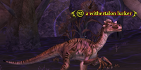 A withertalon lurker
