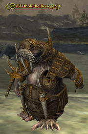 Bal'thok the Besieger