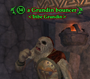 A Grundin bouncer