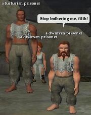 A dwarven prisoner