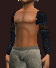 Pauldrons of the Betrayer (Equipped)