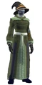 Robe of the Ritualist (Visible).jpg