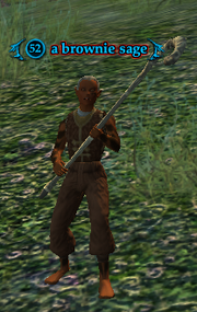 A brownie sage (heroic)