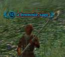 A brownie sage (heroic)