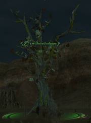 A withered odeum
