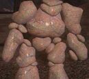 Earthcrafted champion