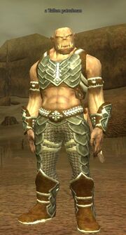 Tallon patrolman
