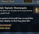 Male Topiaric Mannequin