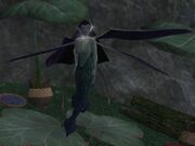 The Witch of the Wood