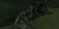 A Blackfang savage