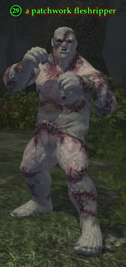 A patchwork fleshripper (Nektulos Forest)