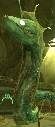 Eeloran
