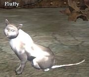 Fluffy