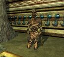 An Anuk'Sul visionary