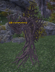 An uprooted protector